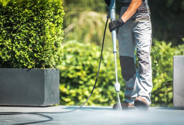 Best Sign and Awning Cleaning  in Forest, OH