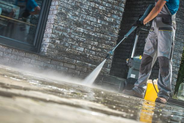 Best Building Exterior Washing  in Forest, OH
